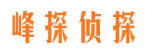 怀化市私家侦探